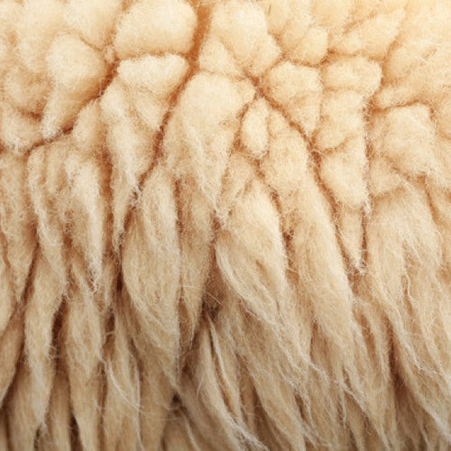 W is for Wool
