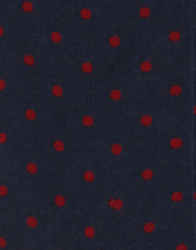 Navy & Red Polka Dot Socks