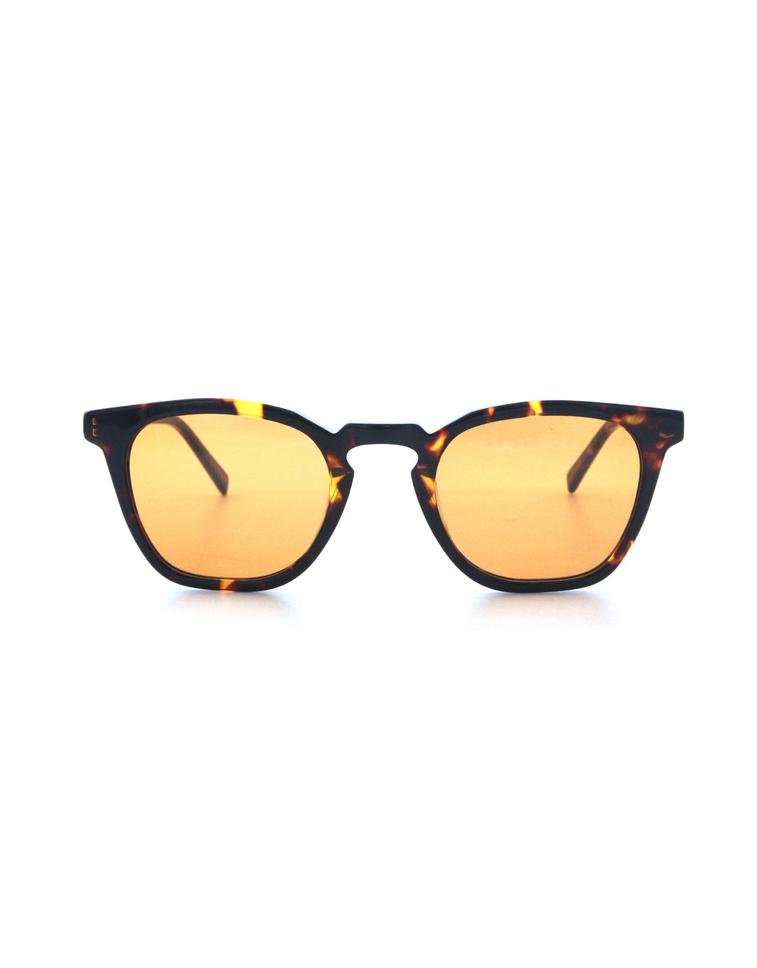 AGE Eyewear Page XL Brown Tortoiseshell Sunglasses