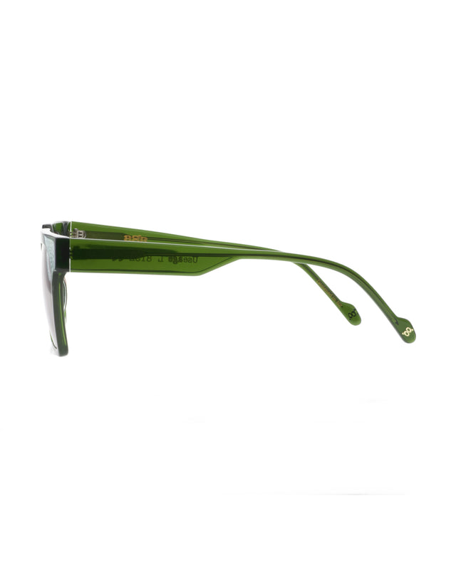 AGE Eyewear Useage Large Sage Sunglasses