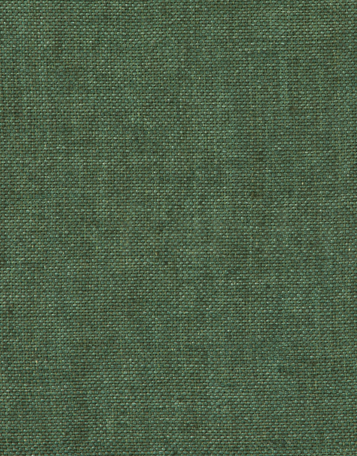 Evans Forest Green Linen Trouser