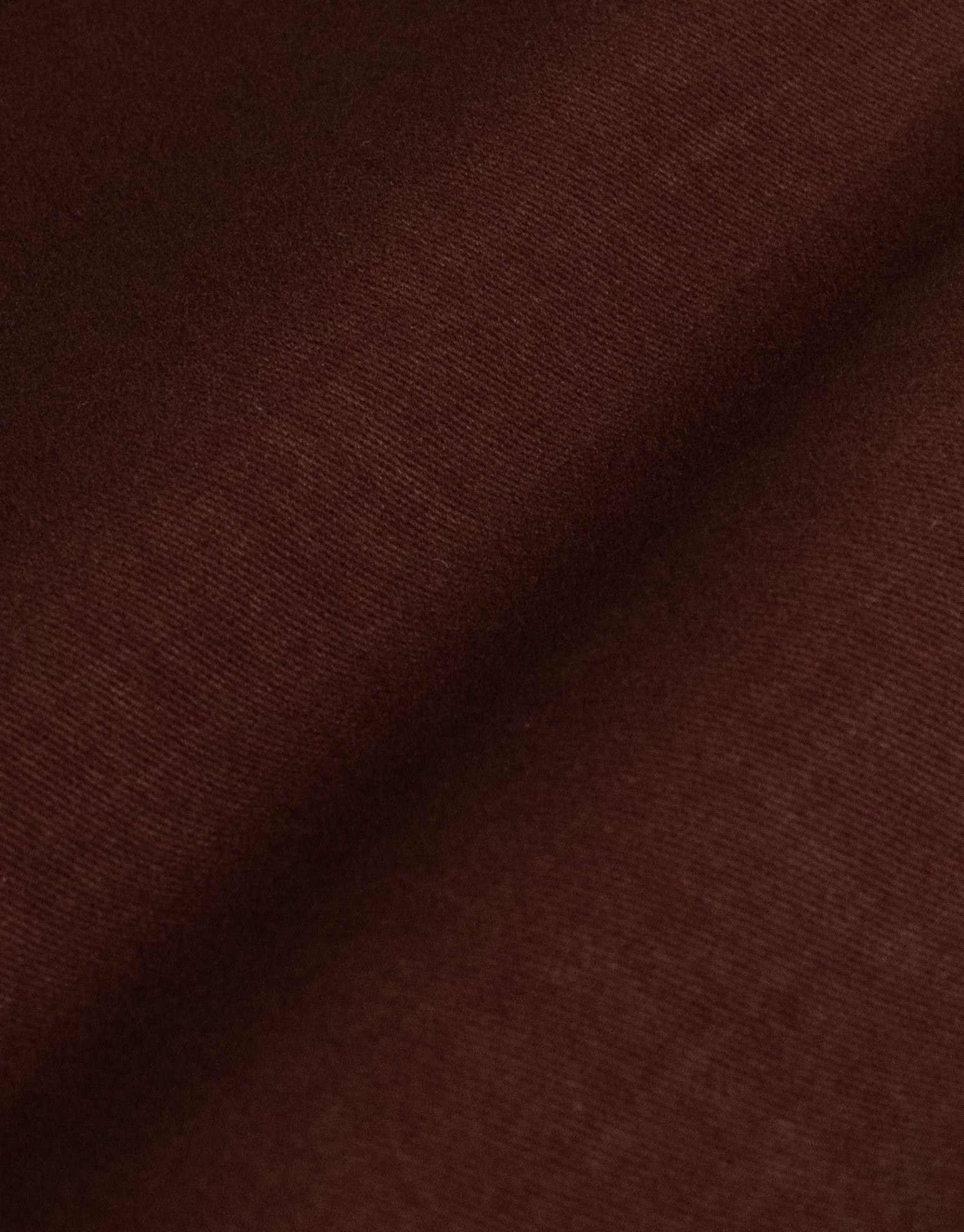 Evans Maroon Cotton-Cashmere Trouser