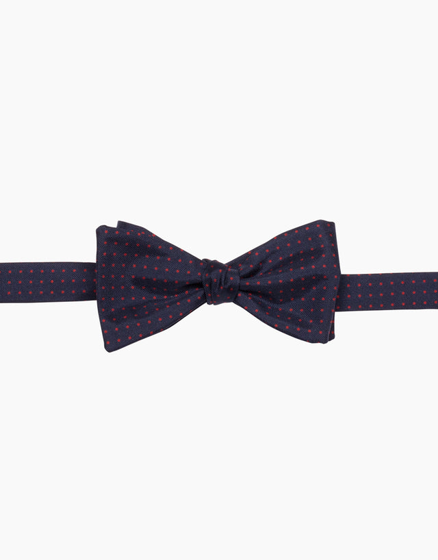 Blue and Red Dot Silk Self Tie Bow Tie