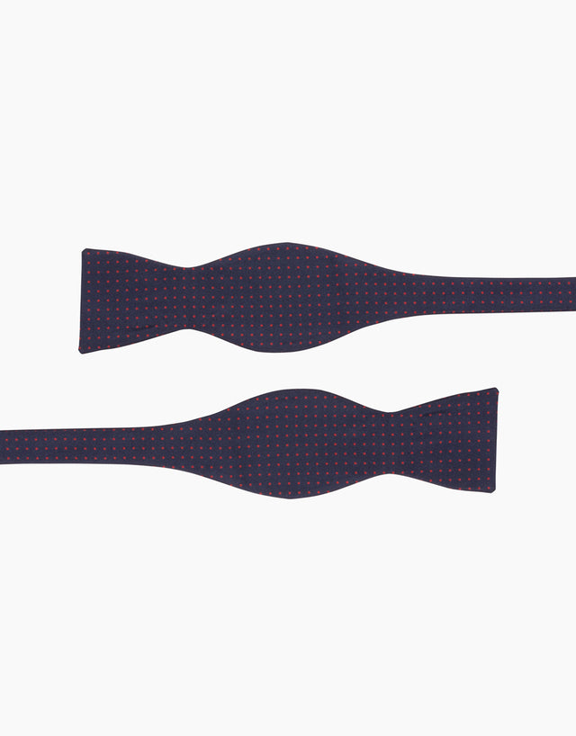 Blue and Red Dot Silk Self Tie Bow Tie